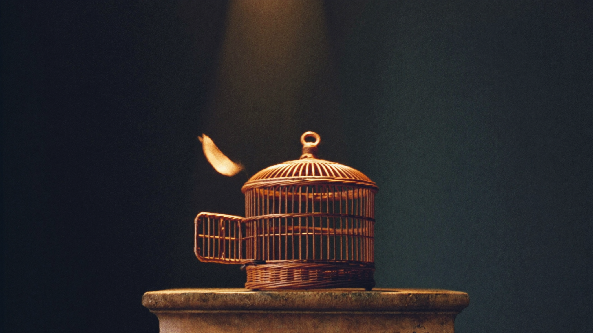 A wicker cage open and empty, a single white feather drifting in golden light